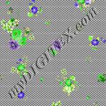 Colour:D