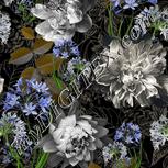 Colour:A