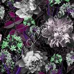 Colour:B