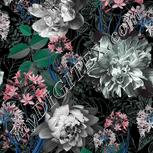 Colour:C