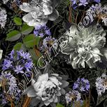 Colour:D