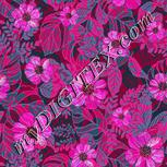 Colour:B