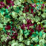 Colour:K