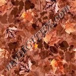 Colour:J
