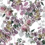 Colour:A