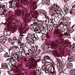 Colour:B