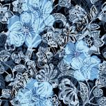 Colour:F