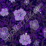 Colour:D