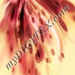 Colour:J