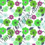 Colour:C