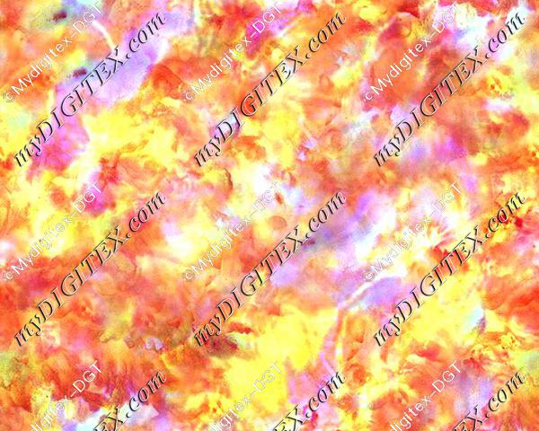 Bam-0233 IND