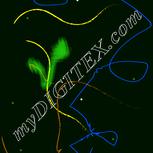 Colour:F