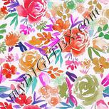 Colour:B