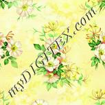 Colour:K