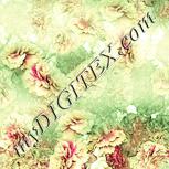 Colour:K