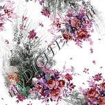 Colour:B