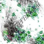 Colour:C