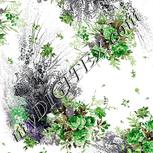 Colour:D