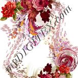 Colour:A