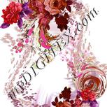 Colour:B