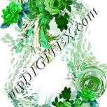 Colour:C