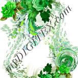 Colour:D