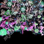 Colour:F