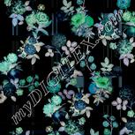 Colour:F