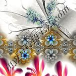 Colour:A