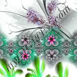 Colour:C