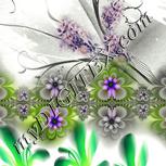 Colour:D