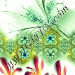 Colour:K