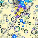 Colour:F