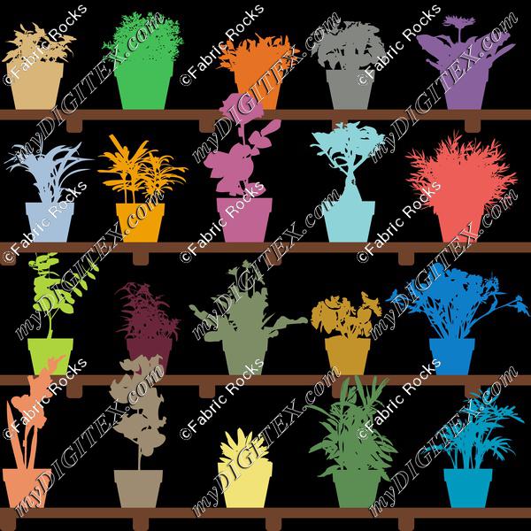 Potted Plants