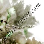Colour:C