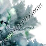 Colour:D