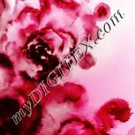 Colour:B