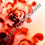 Colour:J