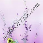 Colour:A