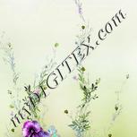 Colour:B