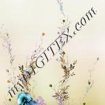 Colour:C