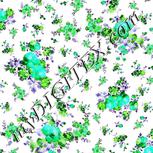 Colour:F