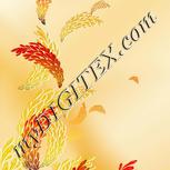 Colour:A