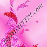 Colour:B
