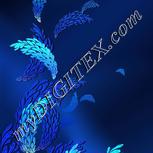 Colour:F