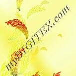 Colour:K
