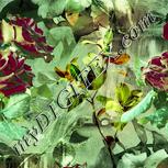 Colour:K