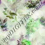 Colour:D