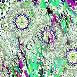 Colour:D