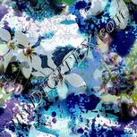 Colour:A
